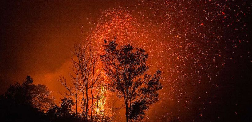 Greenpeace: Πυρκαγιές Αύγουστος 2021 - Μύθοι και αλήθειες