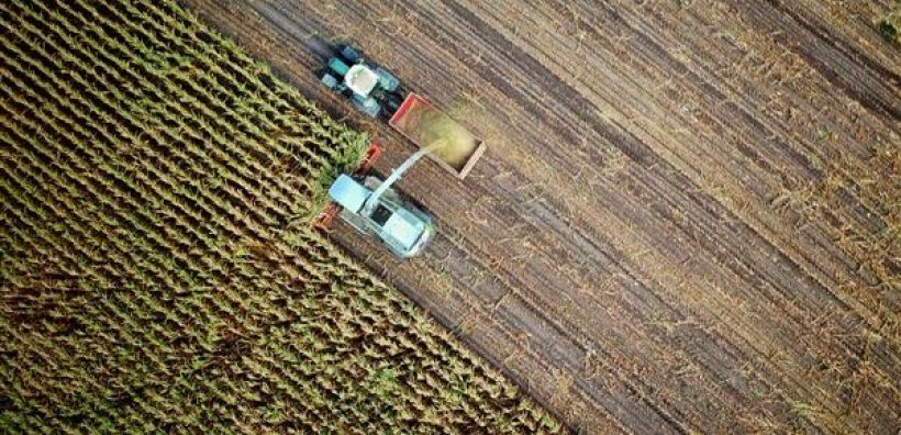 Πώς θα γίνει η μετάβαση στην «πράσινη γεωργία» στην ΕΕ και παγκοσμίως
