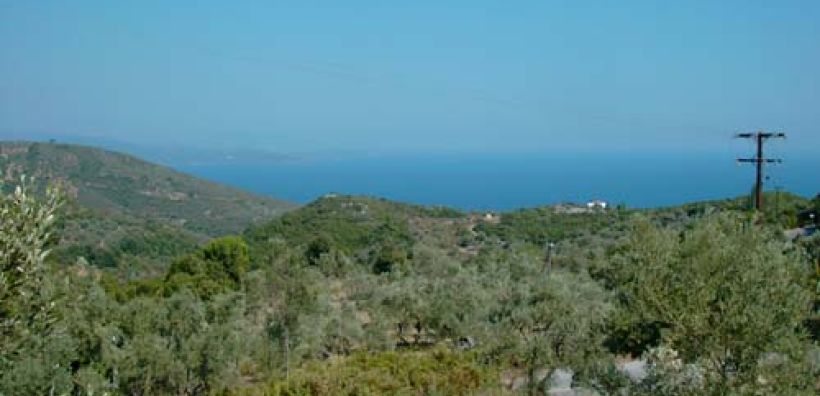 Κονδύλια 400 χιλ. ευρώ για αγροτικό εξηλεκτρισμό στη Θεσσαλία