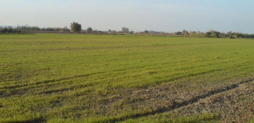 Λιγότερους φόρους στα αγροτεμάχια ζητούν 60 «γαλάζιοι» βουλευτές