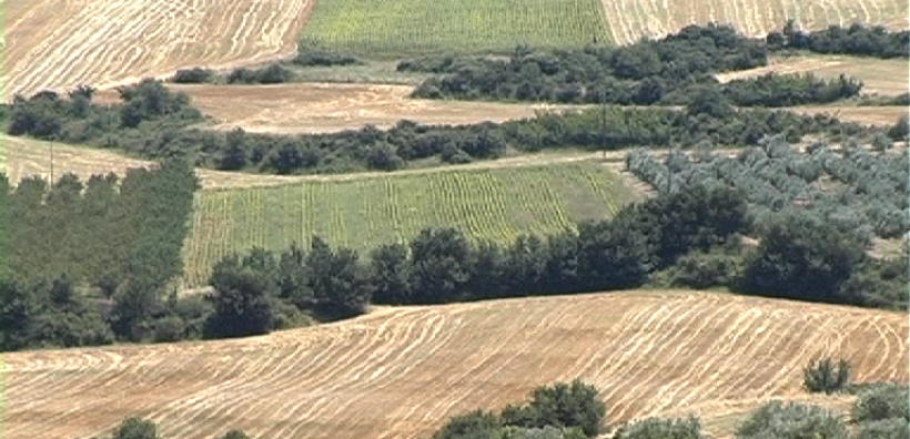 Διευρυμένη σύσκεψη Φορέων και Task Force για το Εθνικό Κτηματολόγιο