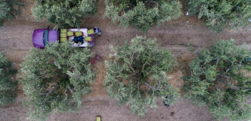 Γ. Μακρής: Αγρότες - Σχέδια ενεργειακής βελτίωσης με επιδότηση άνω του 50%