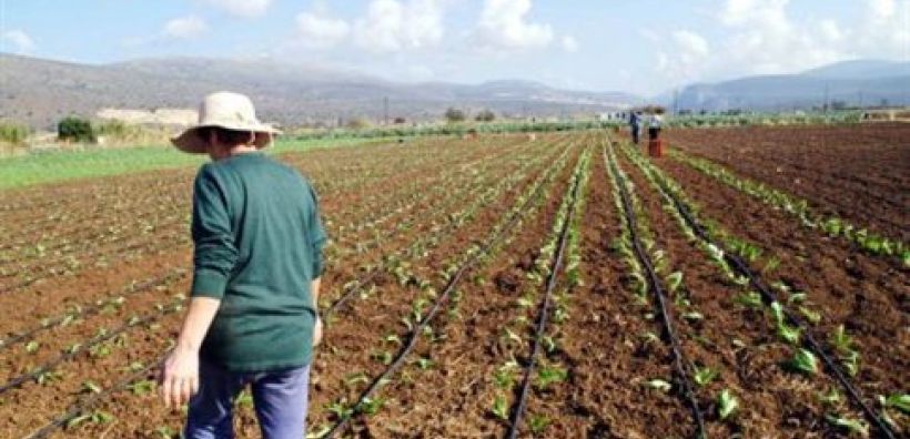 ΑΑΔΕ: Αυτόματα και βάσει τιμολογίων η επιστροφή ΕΦΚ πετρελαίου στους αγρότες για το 2025