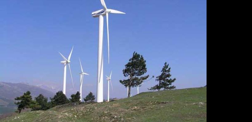 Η προστασία των αετών «φρενάρει» αιολικά πάρκα