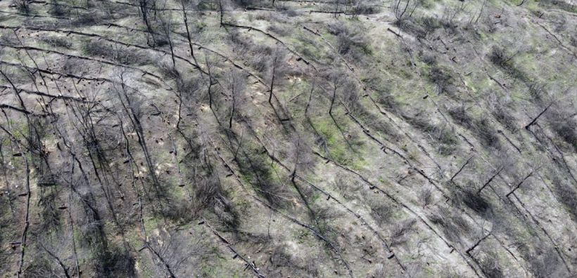 Ανάδοχος για τα την αποκατάσταση Μάνδρας και Μαγούλας η HELLENiQ Energy – Εντός εξαμήνου τα αντιδιαβρωτικά έργα