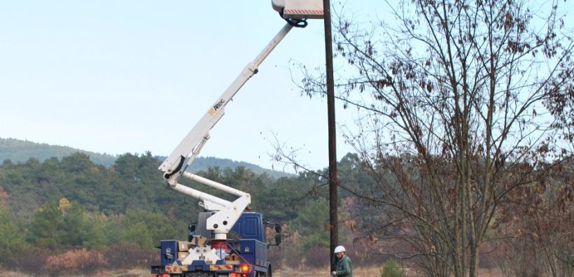 ΔΕΔΔΗΕ, ορνιθολόγοι και WWF ύψωσαν ασπίδα προστασίας για τον πιο απειλούμενο γύπα της Ευρώπης