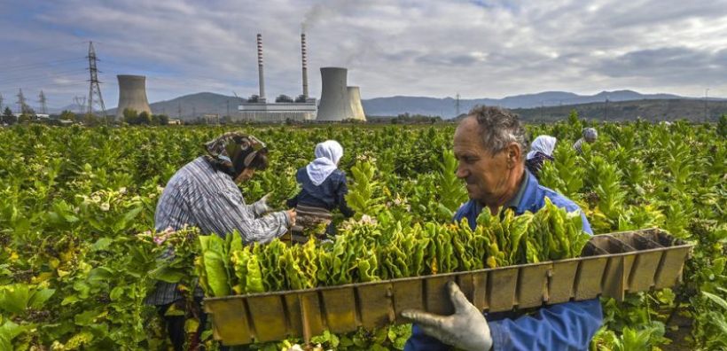 «Τυφλό σημείο» για την ΕΕ οι σταθμοί ηλεκτροπαραγωγής με άνθρακα στα Δυτικά Βαλκάνια
