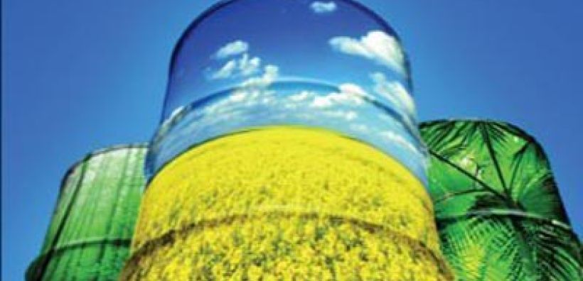 Μποϊκοτάζ σε Motor Oil, Shell και JET OIL από τους παραγωγούς βιοντίζελ