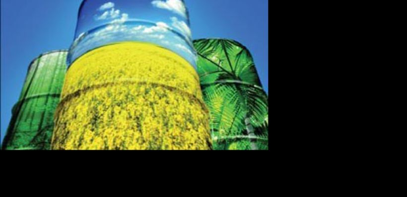 Copa-Cogeca: Μεγάλη η σημασία των βιοκαυσίμων από ενεργειακές καλλιέργειες