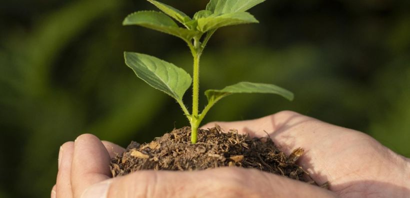 Πρωτοβουλία «75UN – 75 Trees UNAI SDG7»: Πραγματοποιήθηκε η 3η Τηλε-διάσκεψη 