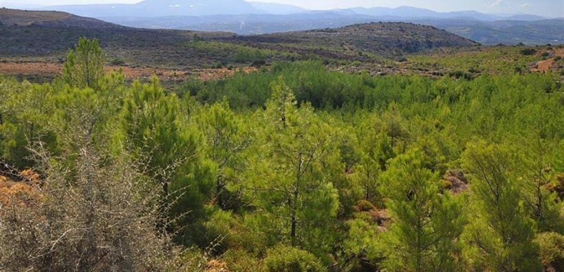 Παράταση για τους δασικούς χάρτες ζητά η ΠΟΜΙΔΑ - Επιστολή προς την ηγεσία του ΥΠΕΝ