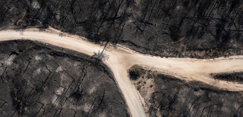 ΥΠΕΝ: Κήρυξε αναδασωτέα έκταση 46.330 στρεμμάτων στο δάσος της Δαδιάς