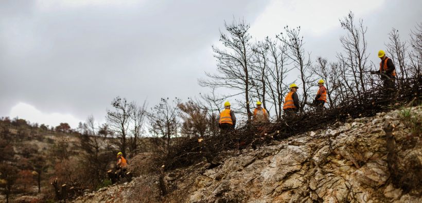 ΔΕΗ: Αποκατάσταση 13.600 στρεμμάτων στην Πάρνηθα με χορηγία €2,5 εκατ.