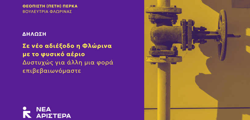 Π. Πέρκα: Σε νέο αδιέξοδο η Φλώρινα με το φυσικό αέριο