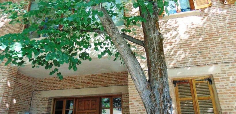 Δήμος Γρεβενών: Με “πράσινο” αποτύπωμα και το Παλιό Δασαρχείο