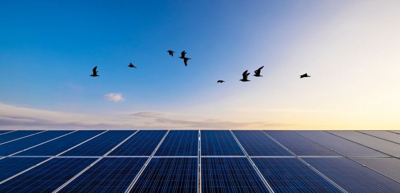 Καταιγισμός αιτήσεων ΑΠΕ 12 Γιγαβάτ το 2021 στον ΑΔΜΗΕ - Ολοκληρώνονται εντός Φεβρουαρίου οι προσφορές σύνδεσης για τα αιτήματα του 2020