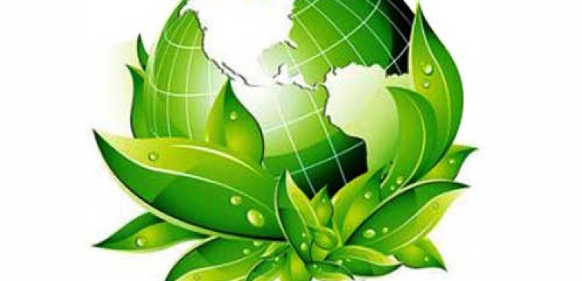 Τα everest βραβεύονται ως “eco-friendly franchise”