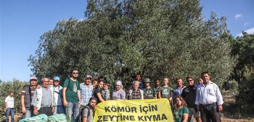 Όχι από τουρκικό δικαστήριο στη χρήση ελαιώνων για ενεργειακά έργα