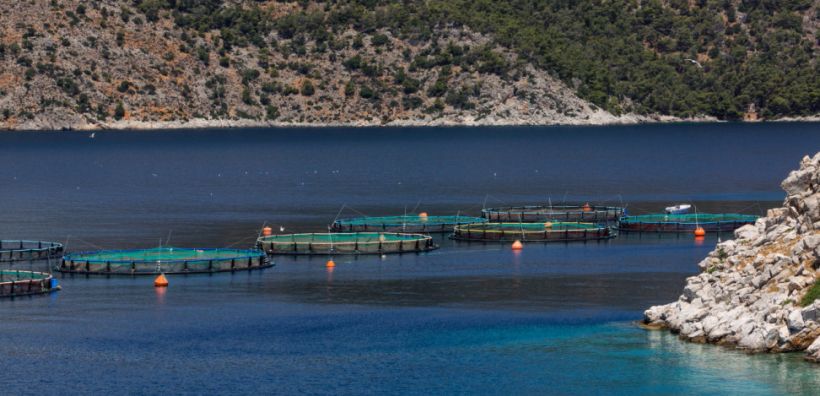 ΕΛΟΠΥ: Δύο νέα ερευνητικά έργα για το περιβάλλον σε συνεργασία με το Πανεπιστήμιο Πατρών 