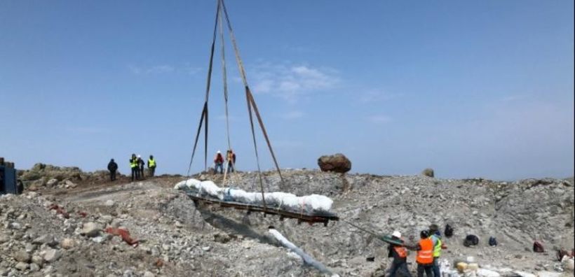 Λέσβος: Εντυπωσιακή μεταφορά απολιθωμένων κορμών από έργο της ΔΕΗ σε επισκέψιμο χώρο