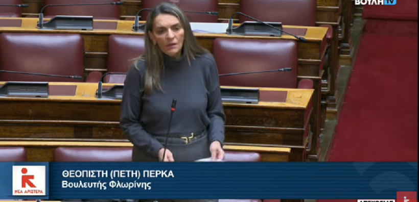 Π.Πέρκα: Η κυβέρνηση δεν θέλει να υπάρχει έλεγχος και κανόνες αλλά χάος με τα τιμολόγια ρεύματος
