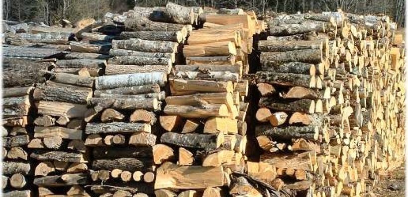 Περιζήτητα τα βουλγαρικά καυσόξυλα 