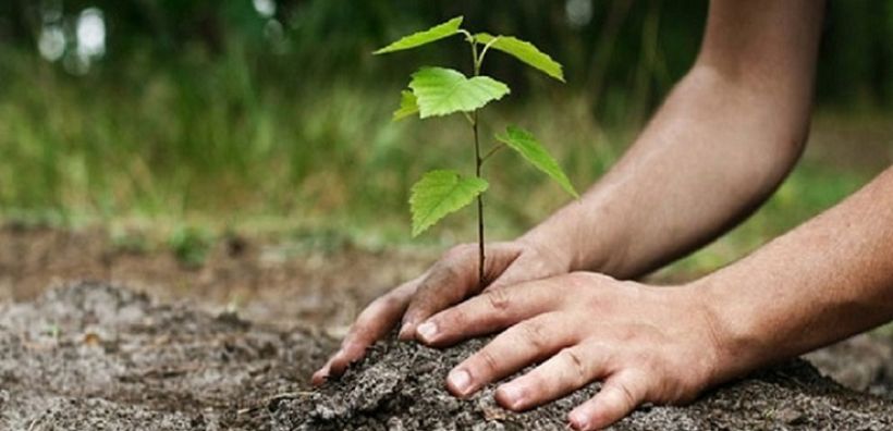 Με επιτυχία η τηλεδιάσκεψη του ΚΕΠΑ στα πλαίσια της πρωτοβουλίας: «75UN – 75 Trees UNAI SDG7» - Συμμετοχή από 40 δήμους