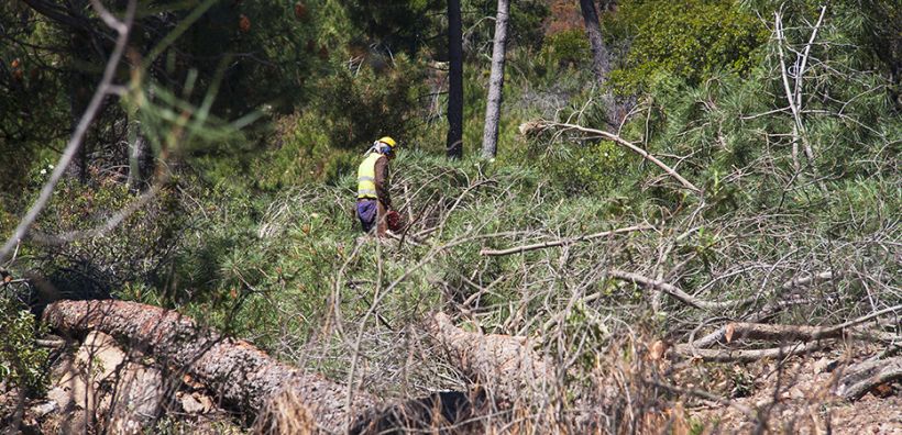 Αντιμετωπίζοντας τις μεγάλες δασικές πυρκαγιές στη Μεσογειακή Ευρώπη με βιώσιμη βιοενέργεια