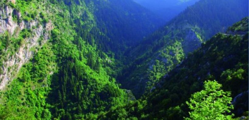 Τα οικοσυστήματα απορροφούν το 50% του CO2