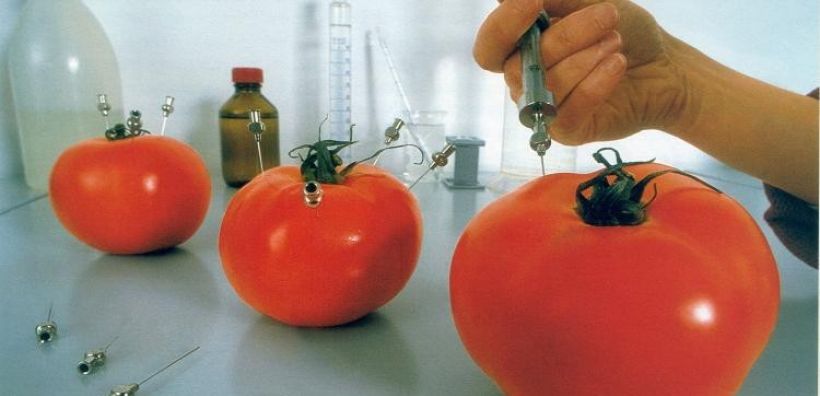 Διαφωνίες στο Παρίσι για τους Γενετικά Τροποποιημένους Οργανισμούς
