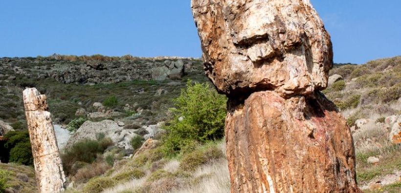 Εθνικό Θεματικό Δίκτυο Σχολείων για τα γεωπάρκα της UNESCO στη Λέσβο