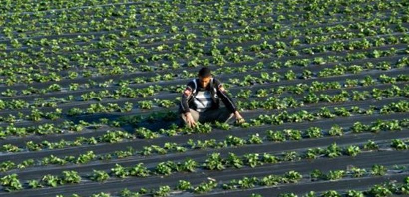 Copa - Cogeca: Σημαντικός παράγοντας της «πράσινης οικονομίας» η γεωργία 