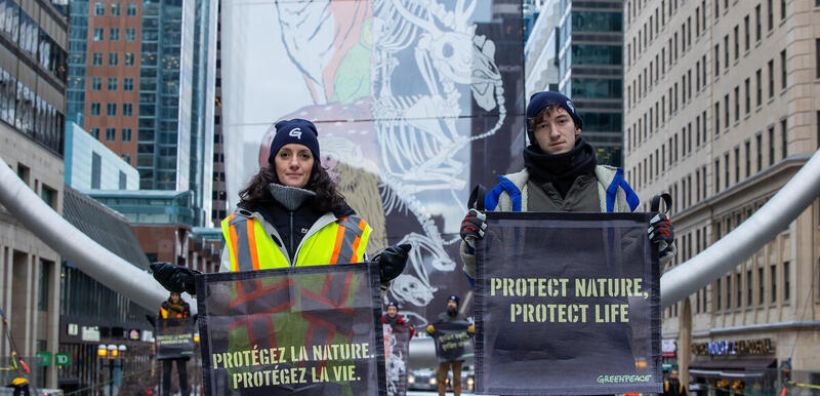 Greenpeace στην COP15: Ανάγκη για πραγματική προστασία της βιοποικιλότητας 