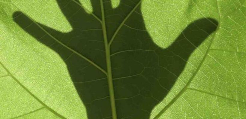 Green Project: Ξεκινάει το «πράσινο» φωτογραφικό ταξίδι