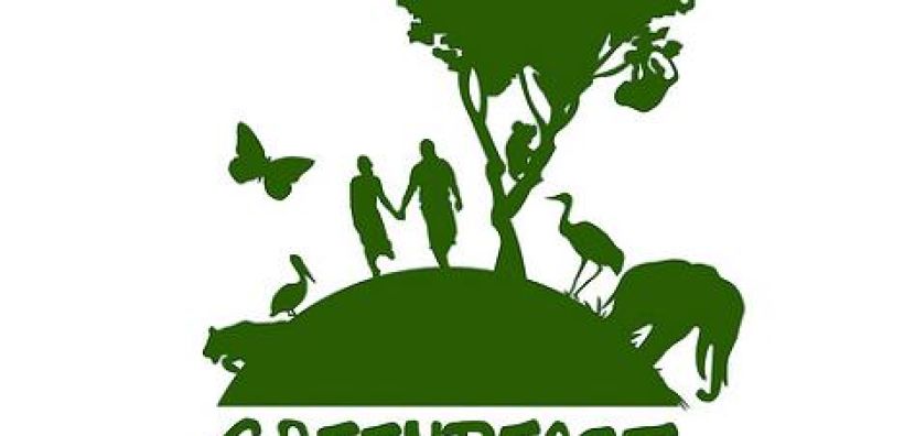 Greenpeace: Η λύση για την ενεργειακή φτώχεια και την αιθαλομίχλη είναι η εξοικονόμηση ενέργειας