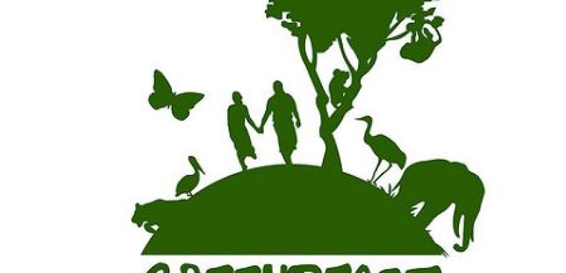 Greenpeace προς ΥΠΕΚΑ: Χρειάζονται πράσινες ενεργειακές λύσεις στα νησιά
