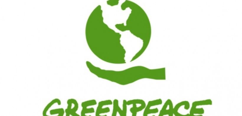 Greenpeace: Δεν είναι επένδυση αν καταστρέφει την Ήπειρο