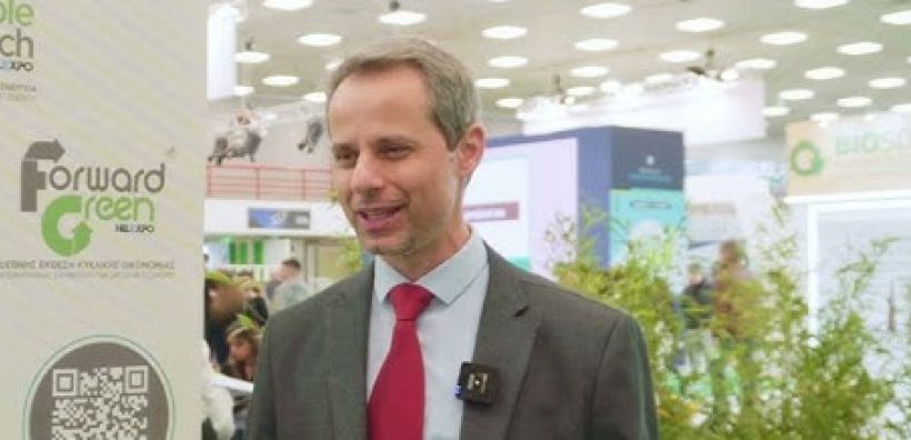 Μπίσκας: Πρέπει να πάμε σε σταδιακή εγκατάσταση μπαταριών για να αποφύγουμε φαινόμενα κανιβαλισμού της αγοράς