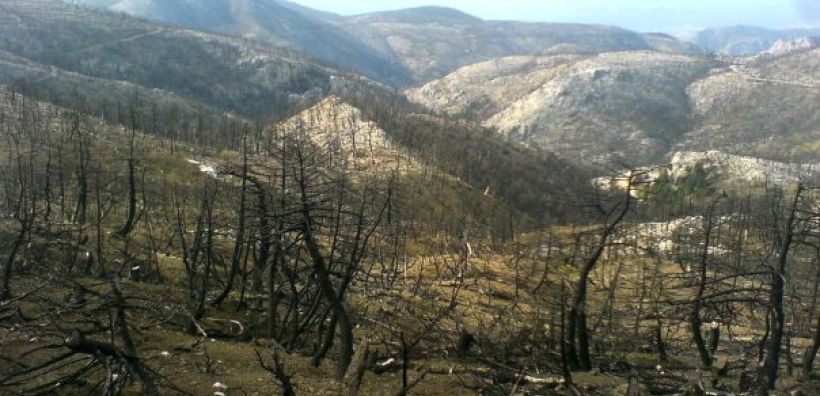 Ανώτατο κλιμάκιο του ΟΗΕ στις πυρόπληκτες περιοχές της Ηλείας