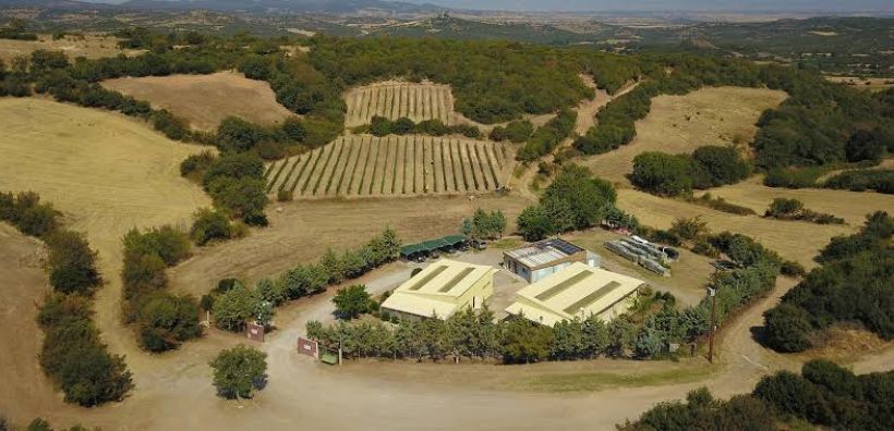 Μεταλλεία Θράκης: Η πραγματική αξία μιας μεγάλης επένδυσης