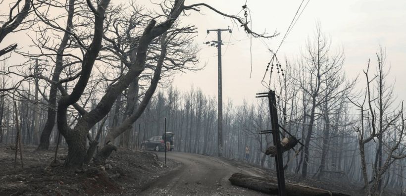 Εθνικό Αστεροσκοπείο Αθηνών: 454.000 στρέμματα έχουν καεί στην Ελλάδα, από την αρχή του έτους