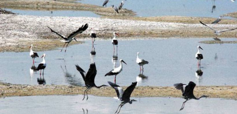 Παρεμβάσεις για τη λίμνη Κάρλα ζητά από τo ΥΠΕΚΑ ο δήμος Ρήγα Φεραίου