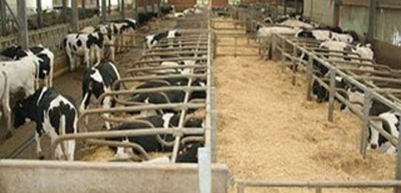Ευκολότερη η περιβαλλοντική αδειοδότηση κτηνοτροφικών μονάδων