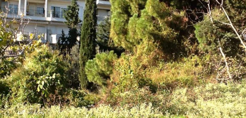 Πράσινο και Ελεύθερος Χώρος το ρέμα Κυβερνείου στη Θεσσαλονίκη με πρωτοβουλία του ΥΠΕΝ