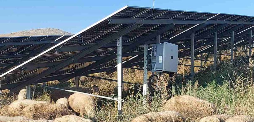 Φωτοβολταϊκά και Κτηνοτροφία μπορούν να πάνε μαζί – Το παράδειγμα της kIEFER