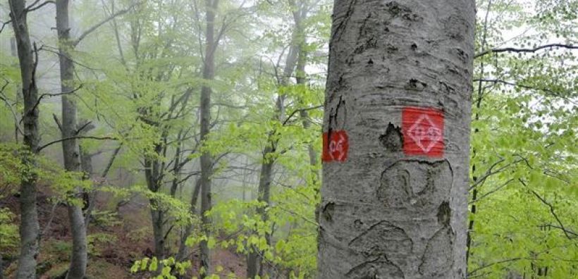 Σκρέκας: Με το Εθνικό Δίκτυο Μονοπατιών αναδεικνύουμε τον δασικό και πολιτιστικό πλούτο που διαθέτει η χώρα μας