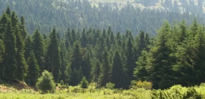 ΥΠΕΝ: Σε διαβούλευση η Ειδική Περιβαλλοντική Μελέτη για τις περιοχές Natura της Περιφέρειας Πελοποννήσου