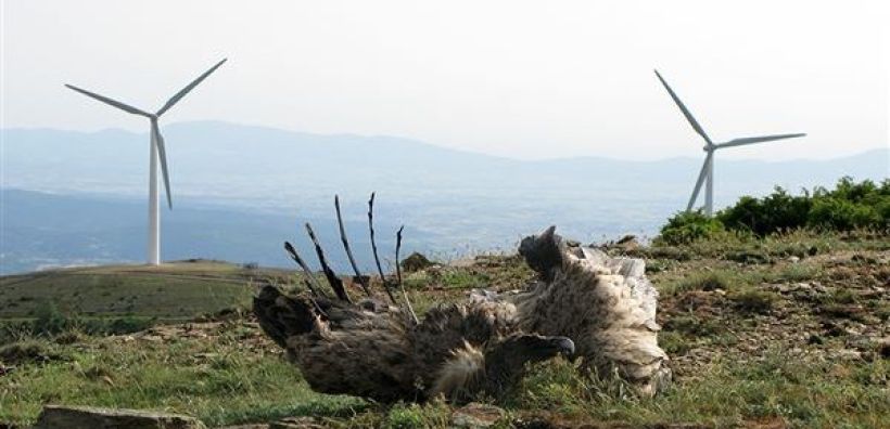 Περιοχές προτεραιότητας ανά τεχνολογία προβλέπει ο νέος χωροταξικός σχεδιασμός για τις ΑΠΕ στην Κύπρο – Σε διαβούλευση η ΣΜΠΕ