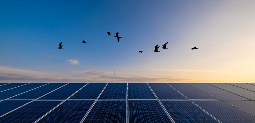 Με «επιδότηση» των προμηθευτών το net-metering με ενεργειακό συμψηφισμό – Διαρκώς αυξανόμενη η «τρύπα» στα ταμεία των εταιρειών