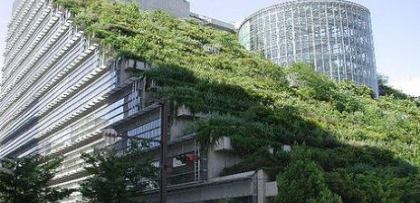 Σε διαβούλευση οι νέοι όροι για τις πράσινες επιφάνειες 
